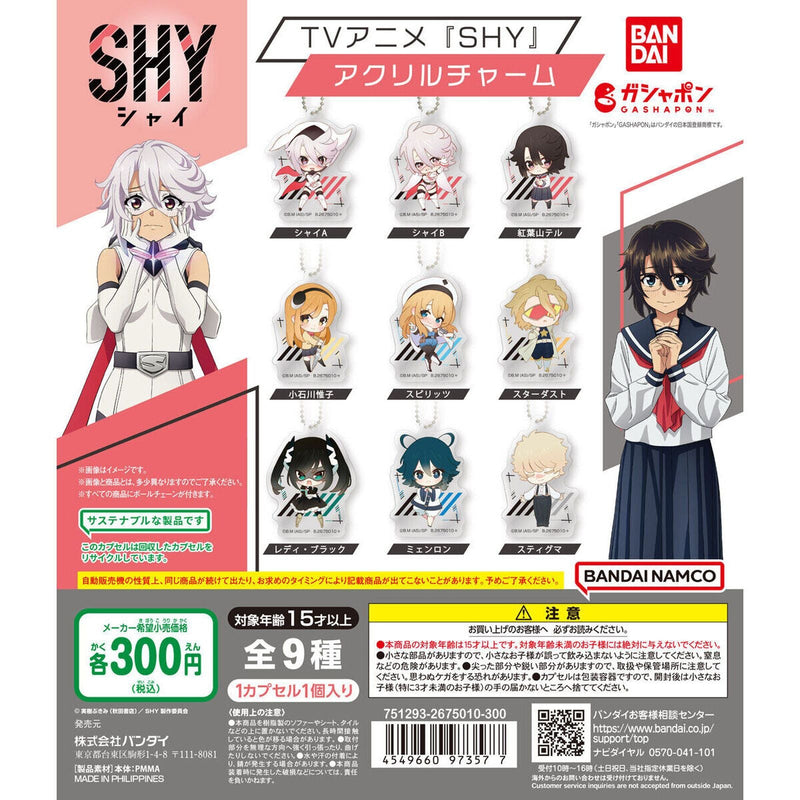 SHY TV Animation Acrylic Charm - 40 pc assort pack