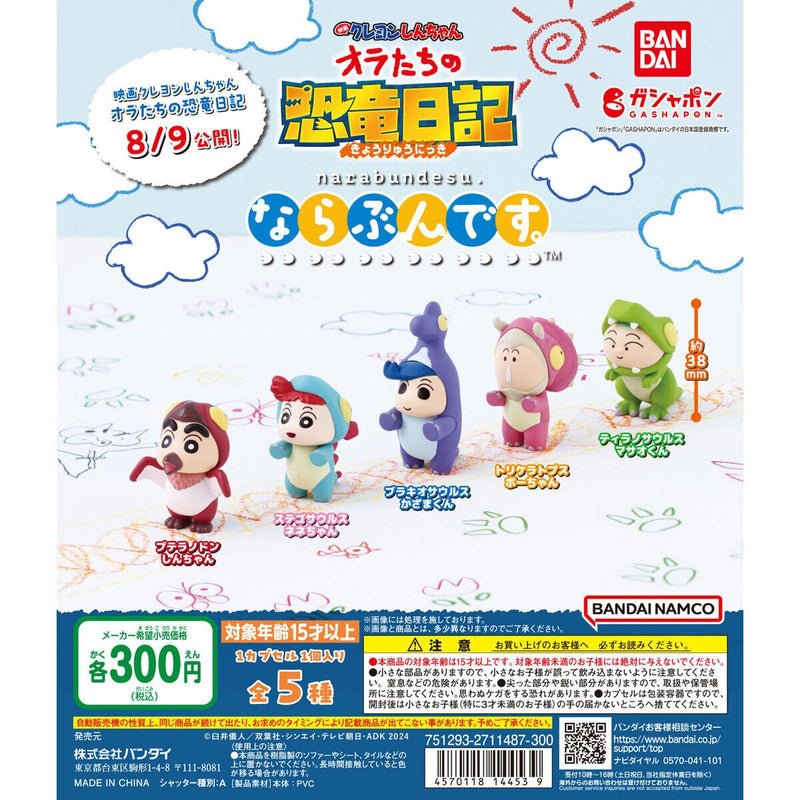 Crayon Shinchan MOVIE Dinosaur Diary NARABUNDESU - 40pc assort pack