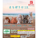 [60% OFF] Machibouke 12 - 40pc assort pack