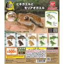 [60% OFF] Living Creature Dictionary Reptile Toad and Green Frog - 20pc assort pack