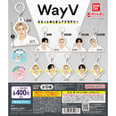 [25% OFF] WayV Flat Eyecatch Accessory - 30pc assort pack