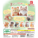 [10% OFF] Manjyu Tane Kitsune - 40pc assort pack