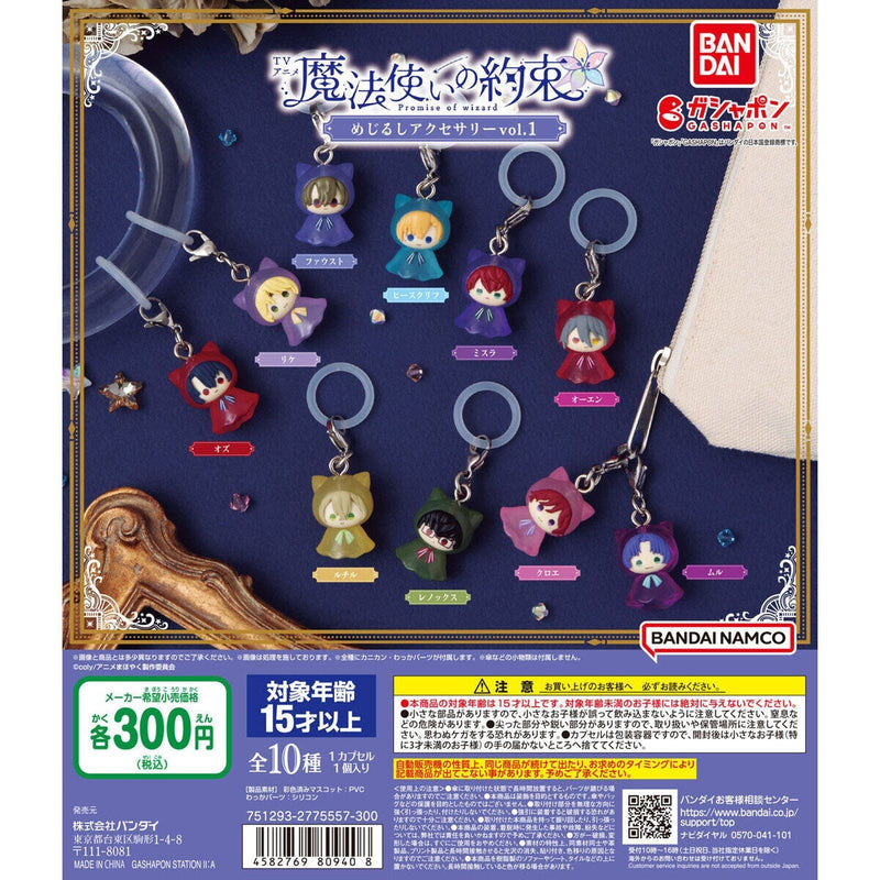 [30% OFF] Promise of Wizard Eyecatch Accessory vol.1 - 40pc assort pack