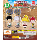 HUNTER x HUNTER Suwarasetai Green Island - 20pc assort pack