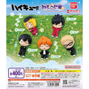 Haikyu!! Nemurasetai - 30pc assort pack