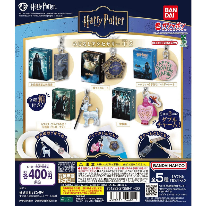 Harry Potter Eyecatch Accessory +2 - 30pc assort pack