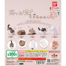 [25% OFF] Angy Cat 3 - 40pc assort pack