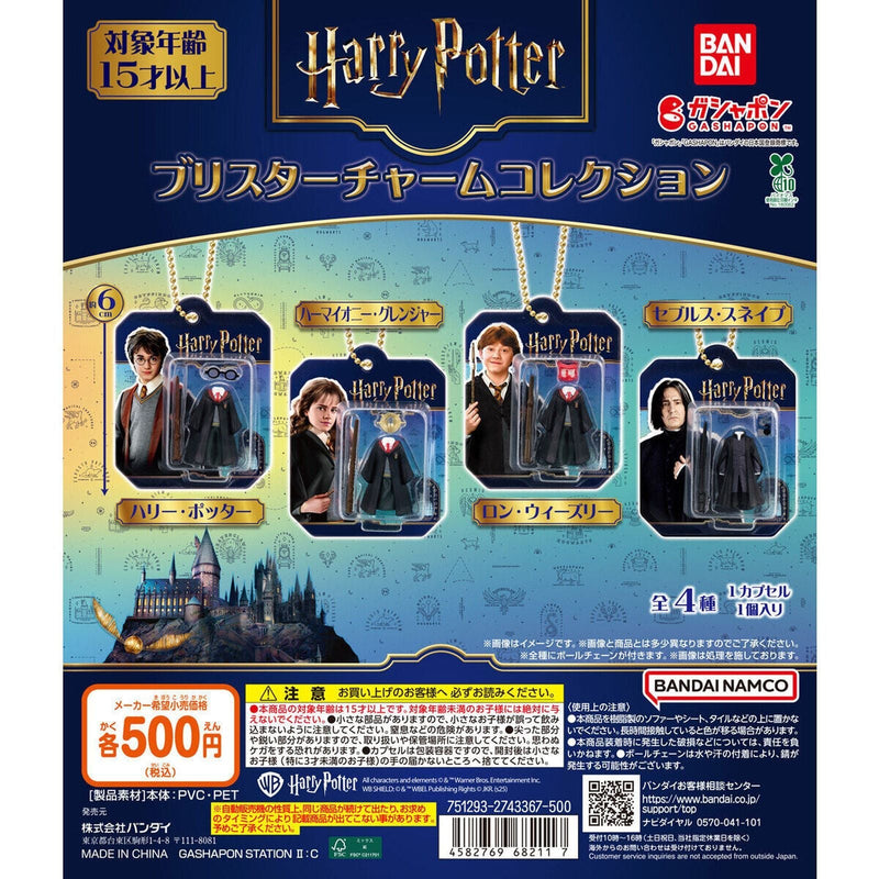 Harry Potter Blister Charm Collection - 20pc assort pack