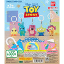 TOY STORY Eyecatch Accessory NEW - 40pc assort pack