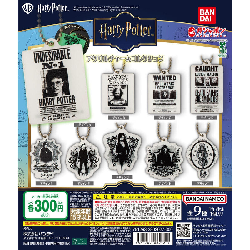Harry Potter Acrylic Charm Collection - 40pc assort pack