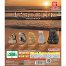 [25% OFF] Machibouke 14 - 40pc assort pack
