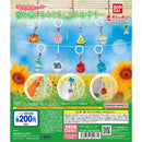 [30% OFF] Changed Irodori Ryou Feel Eyecatch Accessory - 50pc assort pack