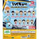 Haikyu!! Flat Eyecatch Accessory - 40pc assort pack