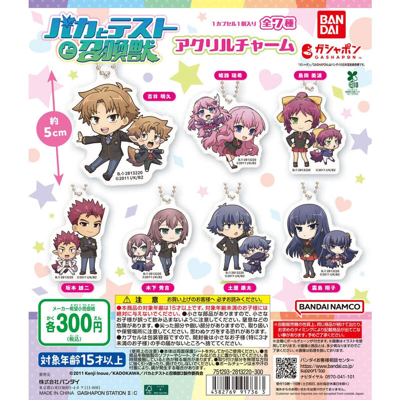 Baka and Test Acrylic Charm - 40pc assort pack