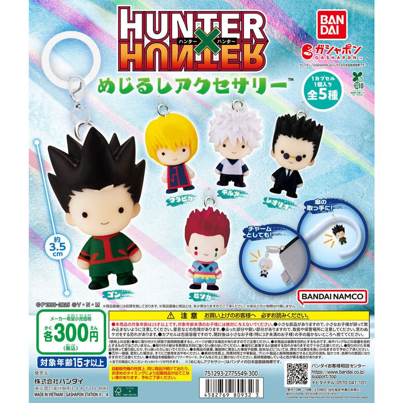HUNTER x HUNTER Eyecatch Accessory - 40pc assort pack