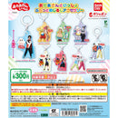 Okasan to Issho Furatto Eyecatch Accessory - 40pc assort pack
