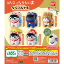 Harikoni Naritai Inu Narabundesu - 30pc assort pack