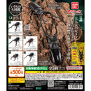 Stag Beetle Living Creature Dictionary 11 - 20pc assort pack