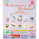 Angry Mofu Mofu Cat - 40pc assort pack