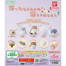 Angry Mofu Mofu Cat - 40pc assort pack