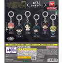 Jujutsu Kaisen Shimetsu Kaiyu Eyecatch Accessory - 30pc assort pack