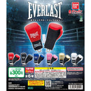 EVERLAST Boxing Glove Collection - 40pc assort pack