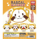 RASCAL Stuffed Toy Kinchaku - 30pc assort pack