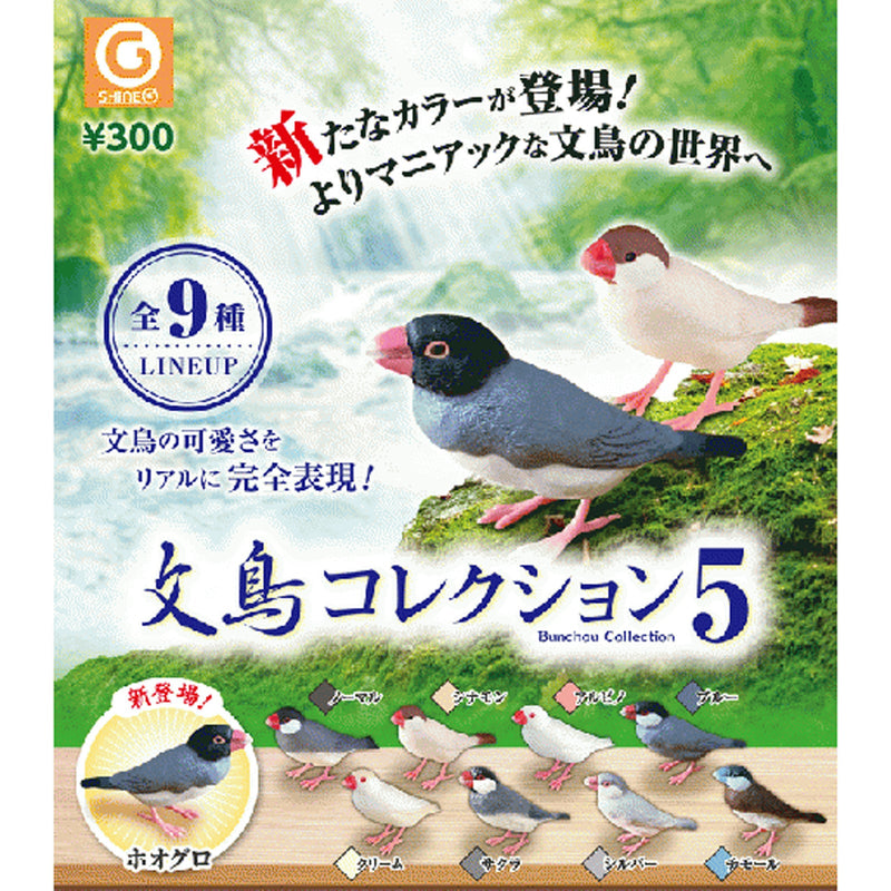 Sparrow Collection vol.5 - 40pc assort pack