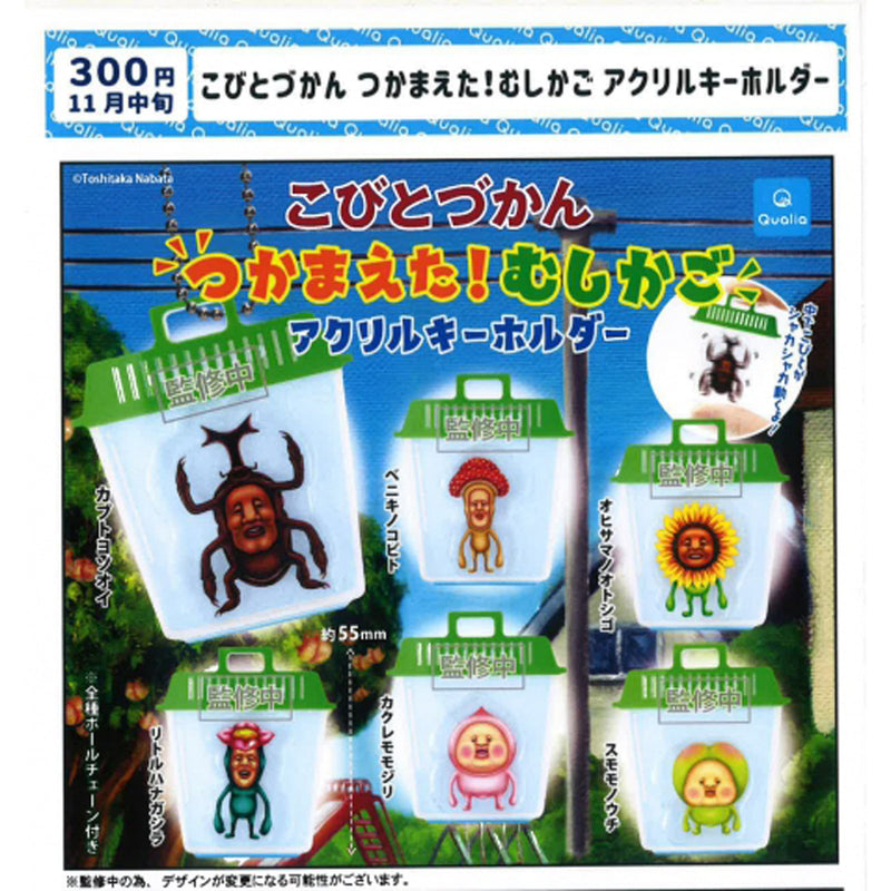 KOBITOZUKAN Bug Cage Acrylic Keychain - 40 pc assort pack[Pre Order December 2023][2nd Chance]