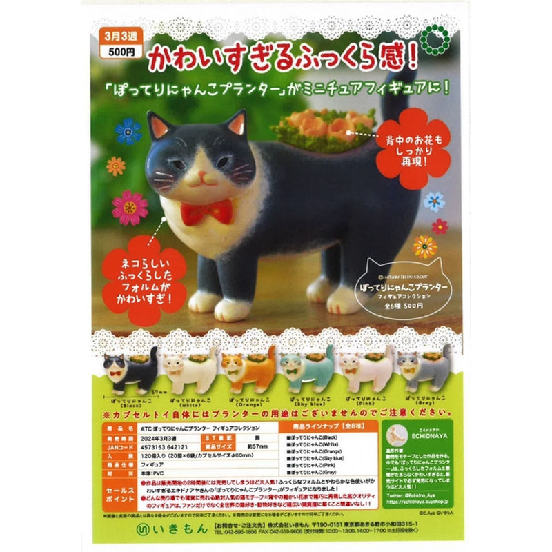 Fat Cat Planter - 20pc assort pack [Pre Order March 2024][2nd Chance]