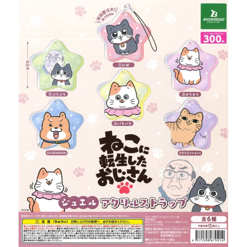 Ojisan Reincarnated to Cat Jewel Acrylic Strap - 40 pc assort pack