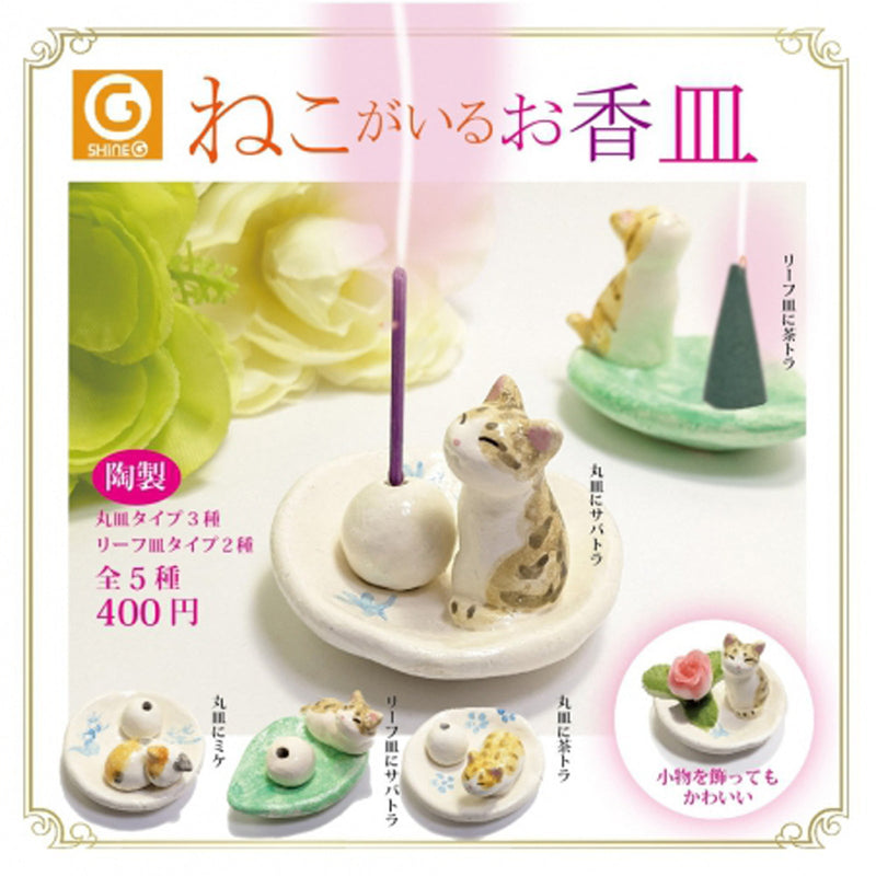 Cat Dish - 30pc assort pack [Pre Order May 2024][2nd Chance]