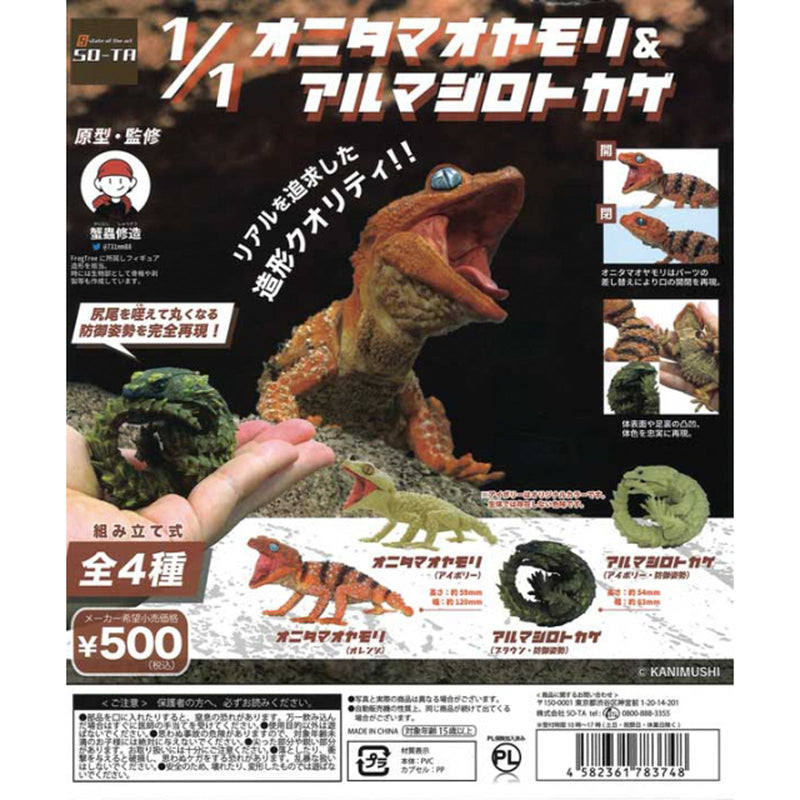 Knob-tailed gecko & Armadillo girdled lizard 1/1 - 20pc assort pack [Pre Order May 2024][2nd Chance]