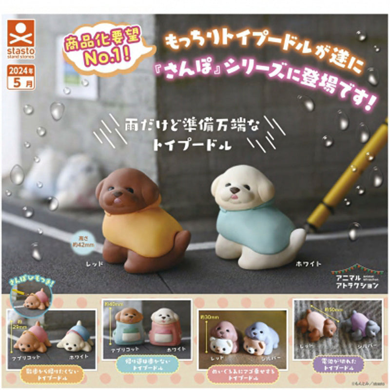 Animal Attraction Toy Poodle - 40pc assort pack [Pre Order June 2024][2nd Chance]