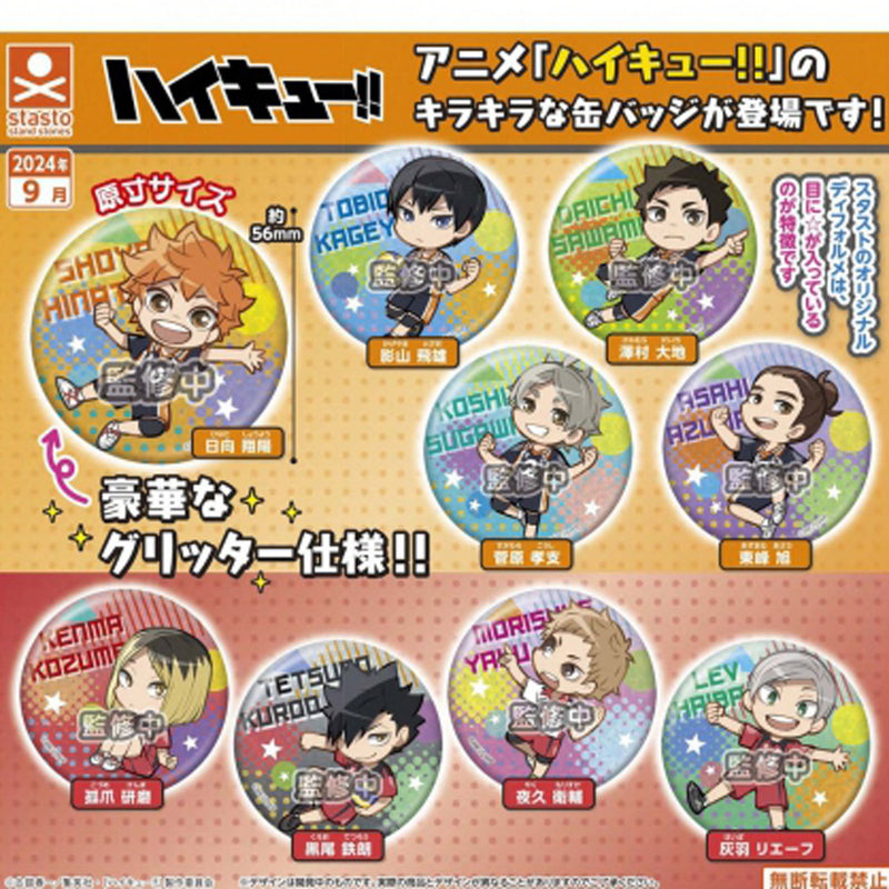 Haikyu!! Glitter Pin Badge - 40pc assort pack