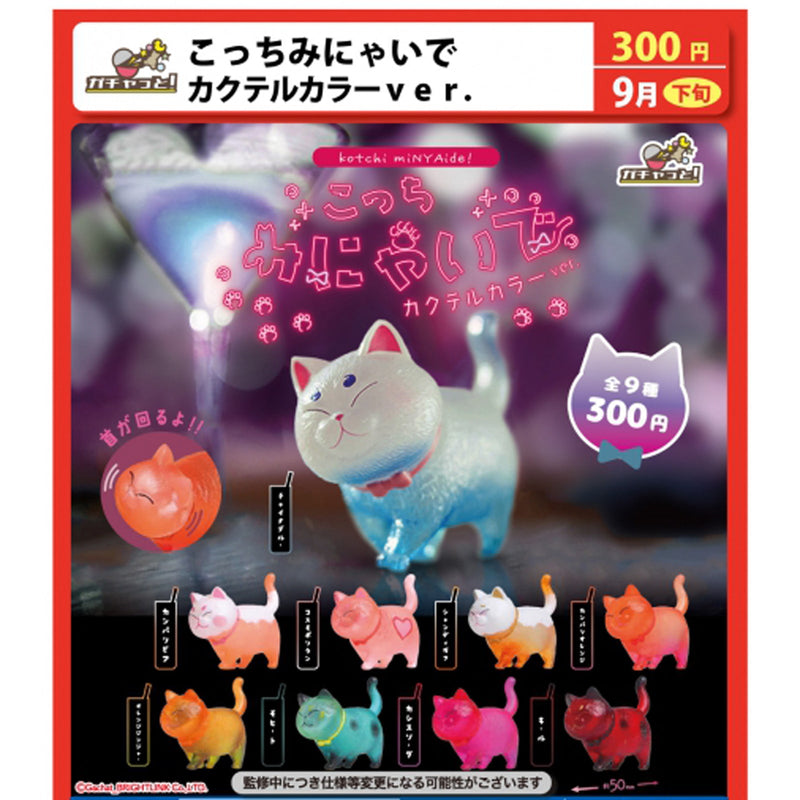 Don't Look this Way Cat Cocktail Color ver. - 40pc assort pack