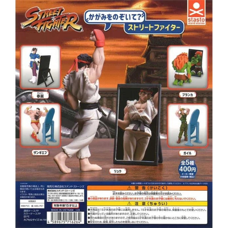 Street Fighter Look in the Mirror - 30pc assort pack