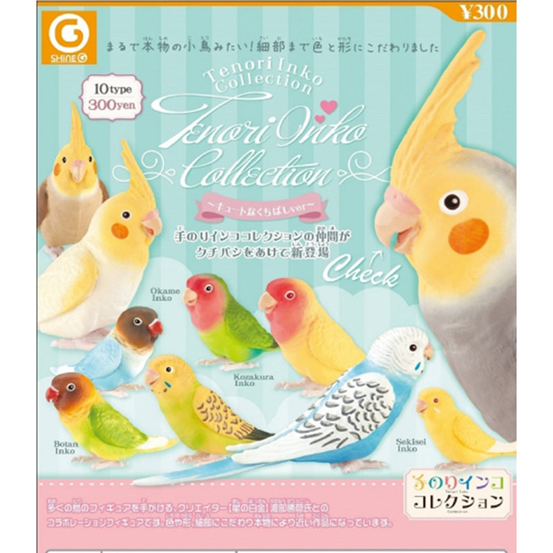 Parakeet on the Hand Collection Cute Beak - 40pc assort pack [Pre Order February 2025][2nd Chance]