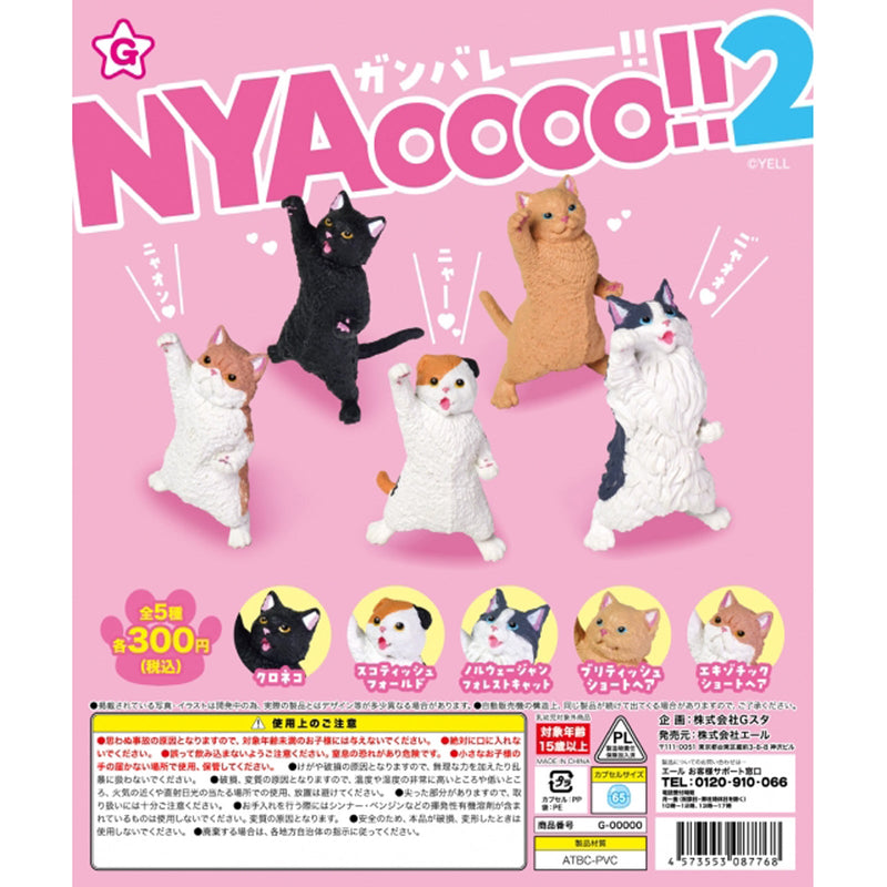 NYAOOOO2 - 40pc assort pack [Pre Order February 2025][2nd Chance]