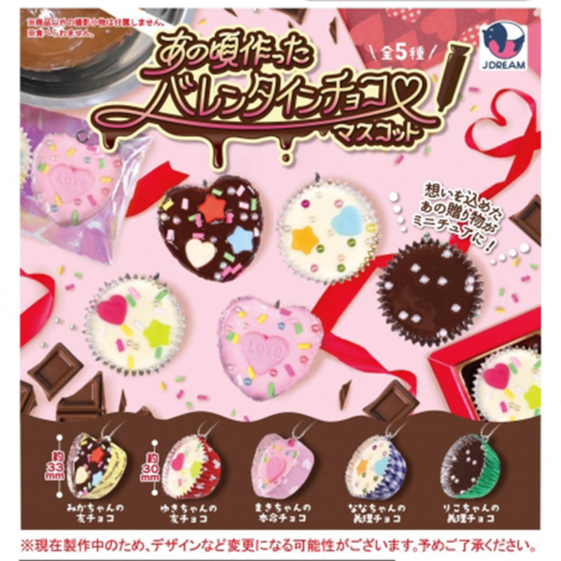 Valentine Chocolates Back on the Days Mascot - 40pc assort pack [Pre Order February 2025][2nd Chance]