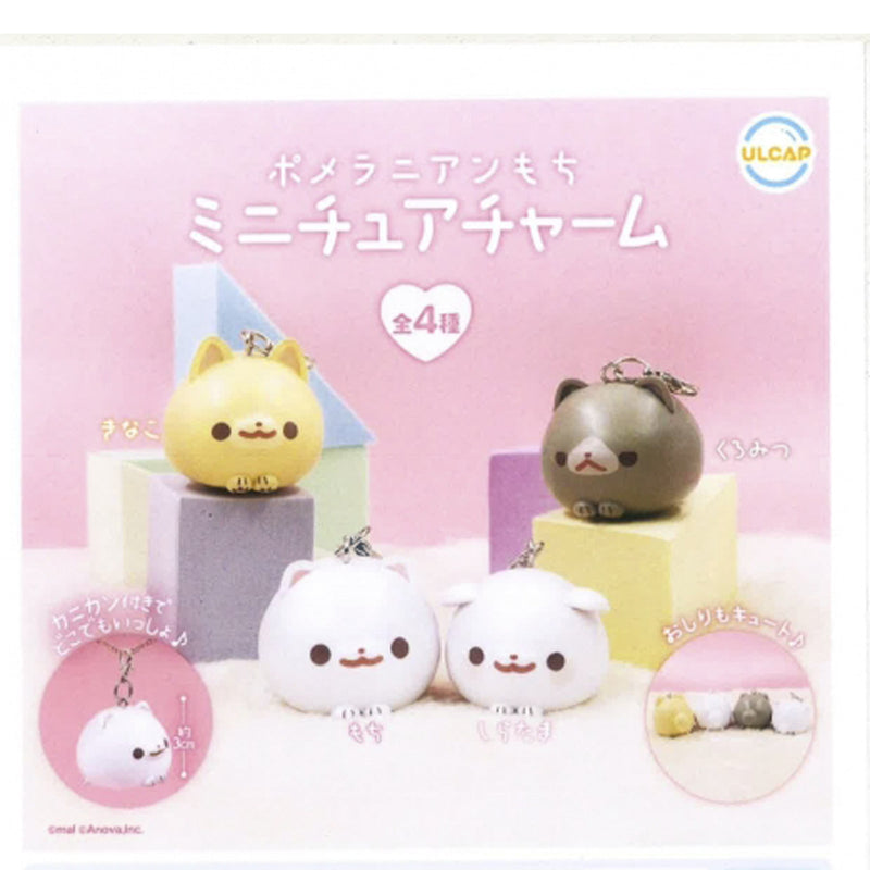 Pomeranian Mochi Miniature Charm - 40pc assort pack [Pre Order March 2025][2nd Chance]