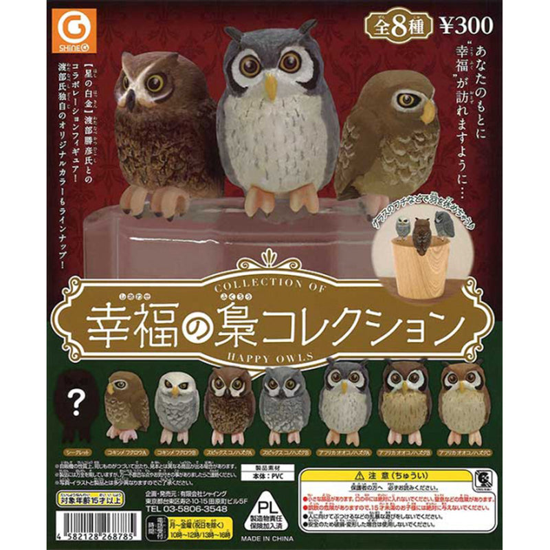 Happy Owl Collection - 40pc assort pack