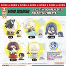 WIND BREAKER Onemutan - 30pc assort pack [Pre Order May 2025][2nd Chance]