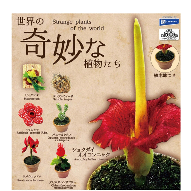 World's Mysterious Plants - 20pc assort pack [Pre Order May 2025][2nd Chance]