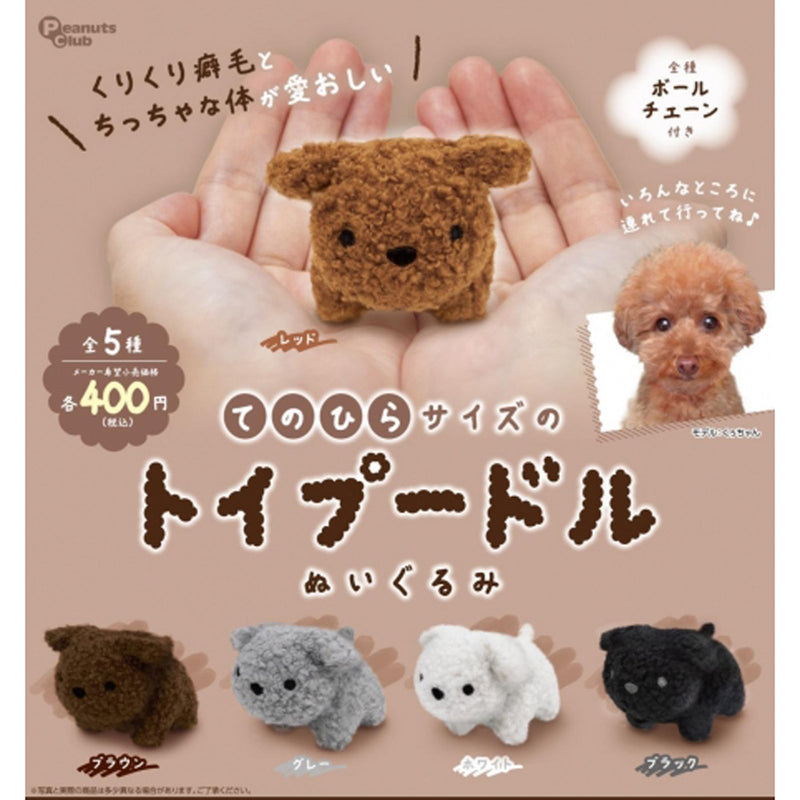 Palm Size Toy Poodle Stuffed Toy - 30pc assort pack [Pre Order May 2025][2nd Chance]