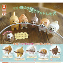 Dog who got Good Stick - 40pc assort pack [Pre Order July 2025][2nd Chance]