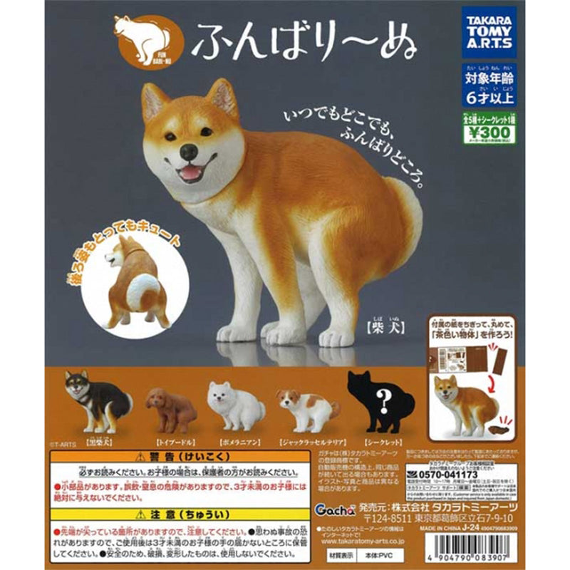 Funbari Dog - 40pc assort pack [Pre Order June 2025][2nd Chance]