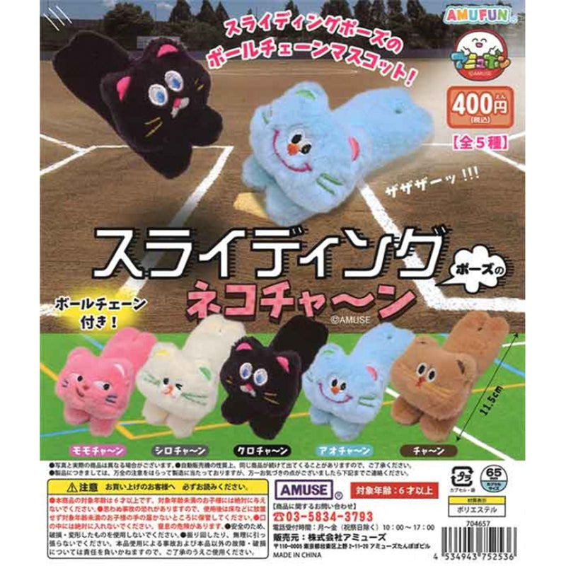 Sliding Cat - 30pc assort pack