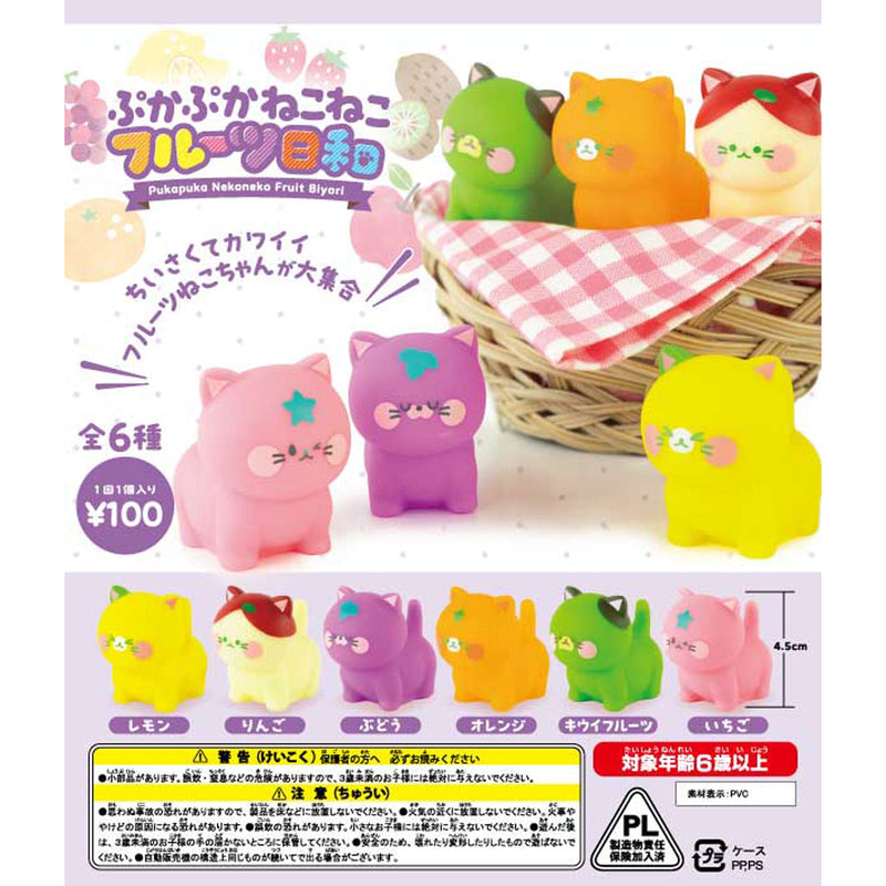 Floating Cat Fruits Day - 100pc assort pack