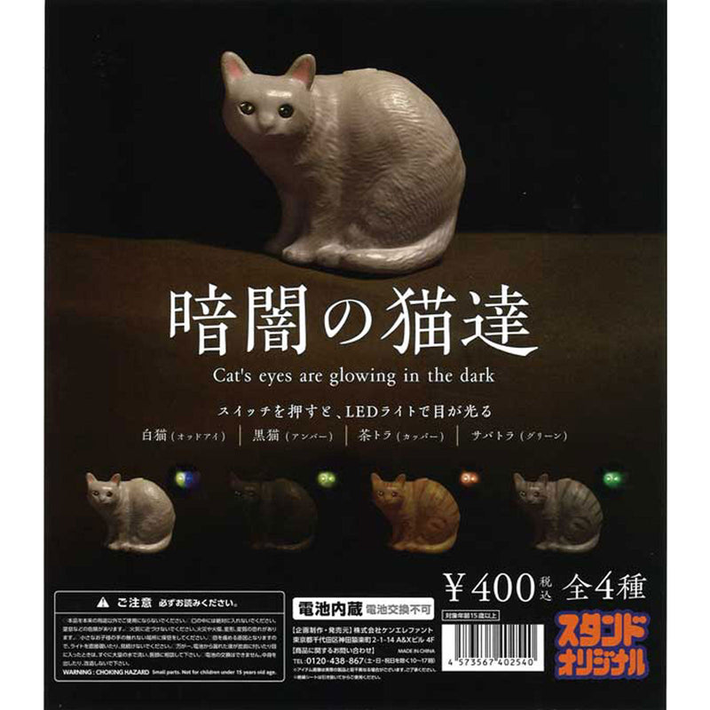Cats in the Darkness - 25pc assort pack